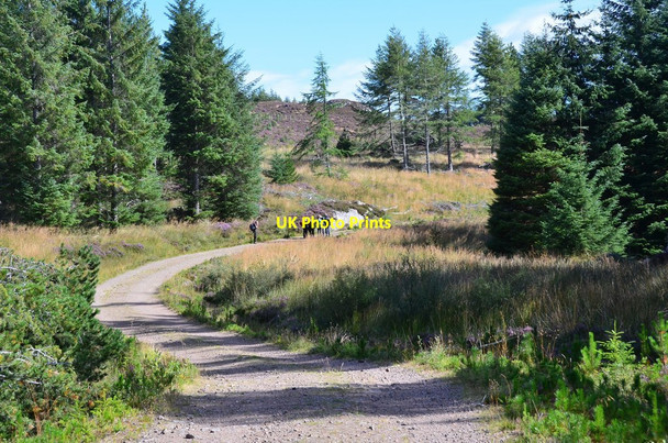Photo 6"x4" Map work in Abriachan Forest Abriachan c2016