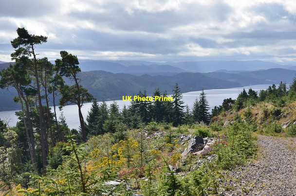 Photo 6"x4" Loch Ness view Balchraggan\/NH5634 c2016