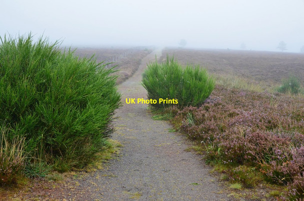 Photo 6"x4" Great Glen Way crossing misty moorland Blackfold\/NH5840 c2016
