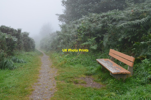 Photo 6"x4" Seat by the path, Great Glen Way Leachkin c2016