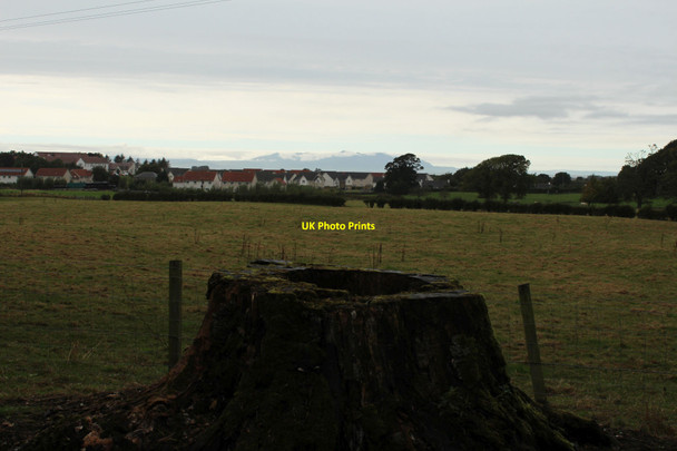 Photo 6"x4" Stumped for a view of Arran St Quivox c2016