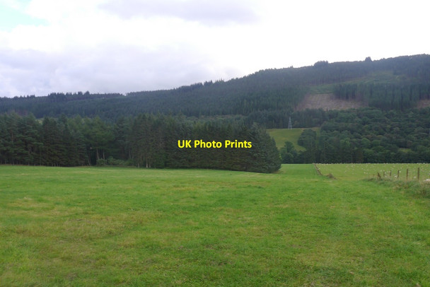 Photo 6"x4" Field, Fortingall Fortingall c2016