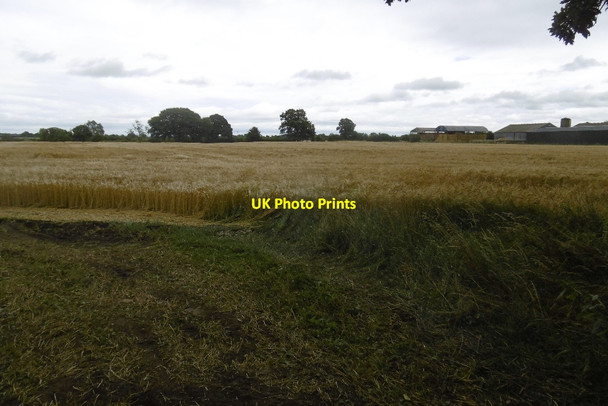 Photo 6"x4" Arable land, Lodge Farm Youlton c2016