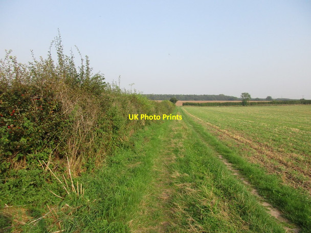 Photo 6"x4" Bridleway to Egmanton Egmanton c2016