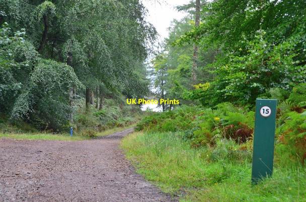 Photo 6"x4" Rejoining the Great Glen Way at Clunes Clunes c2016