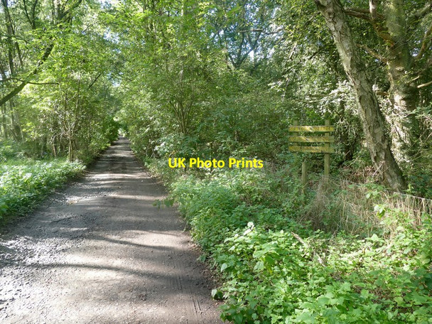 Photo 6"x4" Entering Spalford Warren Spalford c2016