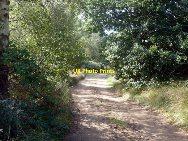 Photo 6"x4" Track in Spalford Warren Girton\/SK8266 c2016