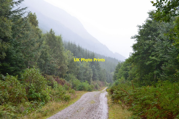 Photo 6"x4" Great Glen Way by Loch Lochy Clunes c2016