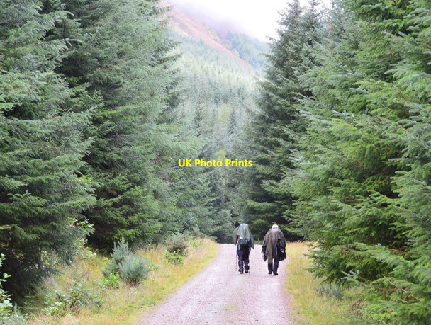 Photo 6"x4" Track through the trees by Loch Lochy, Great Glen Way Glas-dhoire c2016