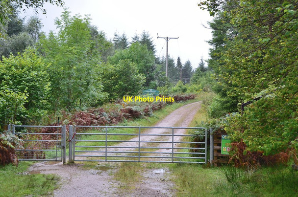 Photo 6"x4" Gate for Clunes Forest Laggan\/NN2996 c2016