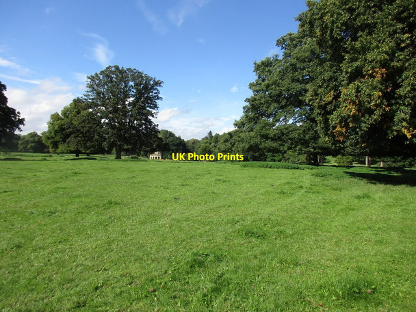 Photo 6"x4" Exton Park Exton\/SK9211 c2016