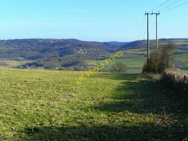 Photo 6"x4" Pasture land near Baynhams Kerne Bridge c2009