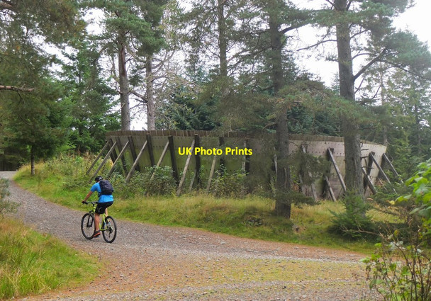 Photo 6"x4" Bike trails, Glentress Peebles\/NT2540 c2016