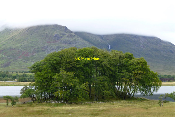 Photo 6"x4" Tree-covered drumlin Lochawe c2016