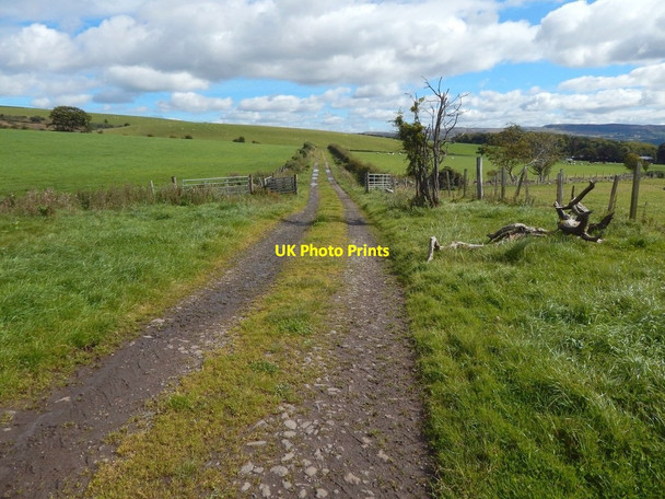 Photo 6"x4" Path between Walton and Kipperoch Ardoch\/NS3676 c2016