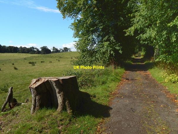 Photo 6"x4" Path to Red Road Kelhurn c2016