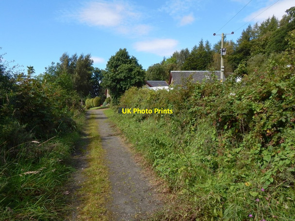 Photo 6"x4" Approaching Red Road Kelhurn c2016