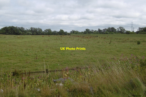 Photo 6"x4" Rawcliffe Ings Nether Poppleton c2016