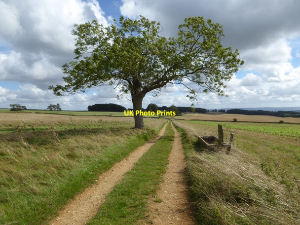 Photo 6"x4" Permissive path to Lalu Farm Bredon's Norton c2016