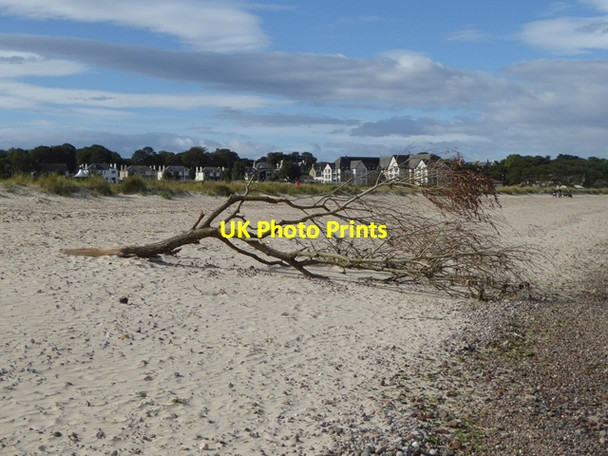 Photo 6"x4" Driftwood on Nairn beach Nairn c2016
