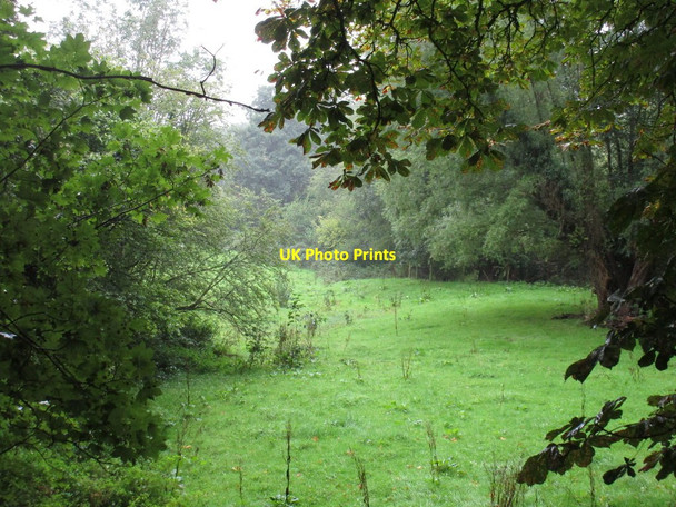 Photo 6"x4" Meadow by the River Leadon Evesbatch c2016