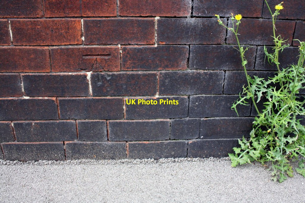 Photo 6"x4" Benchmark on #42 Longroyd Avenue (Burton Avenue face) Hunslet c2016