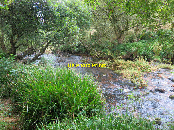 Photo 6"x4" East Dart River near Postbridge Bellever c2016