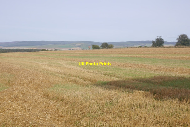 Photo 6"x4" Stubble, Whitehouse Whitehouse\/NJ6214 c2016