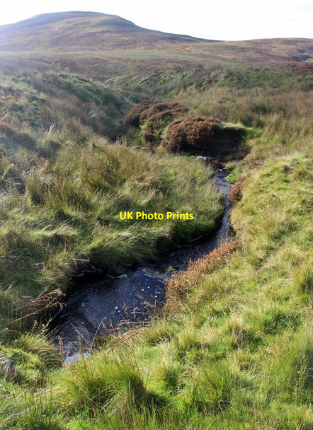 Photo 6"x4" Whiteside Burn from Knockendon Bridge Fairlie c2016