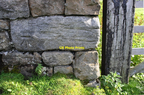 Photo 6"x4" Benchmark on barn at Jenkin Gate Ivelet c2016