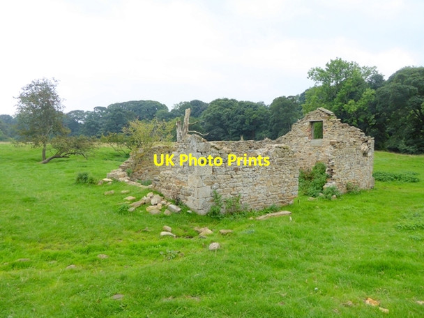 Photo 6"x4" Roofless ruin near the north bank of the Tees Barnard Castle c2016