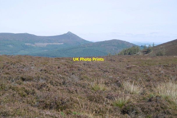 Photo 6"x4" Col, Cairn William Pitmunie c2016