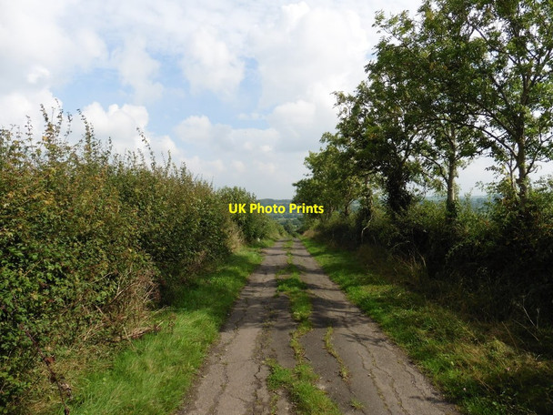 Photo 6"x4" Lane to Low Ham Bramwell c2016