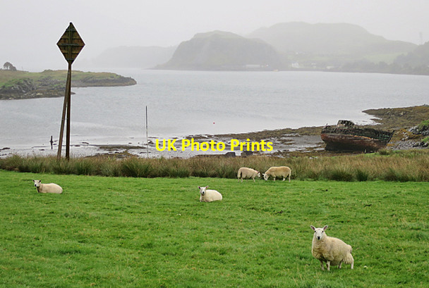 Photo 6"x4" Little Horse Shoe Bay Carn Breugach c2016