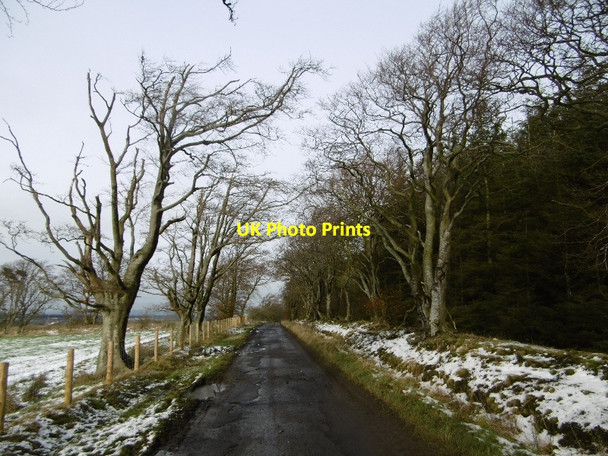 Photo 6"x4" Road and stripwood, Cockburnhill Glenbrock c2016