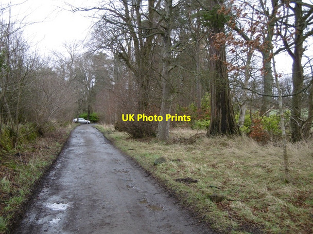 Photo 6"x4" Road, Lymphoy Balerno c2016