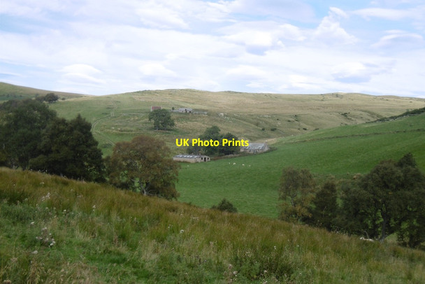 Photo 6"x4" Relaquheim and Lynardoch Roughpark c2016