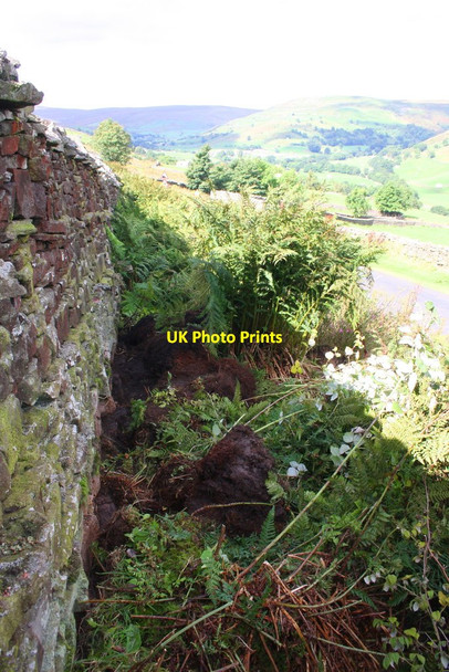 Photo 6"x4" Dry stone wall beside minor road approaching Crow Trees Ivelet c2016