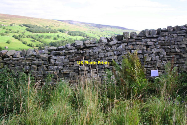 Photo 6"x4" Dry stone wall beside road south of Crow Trees Ivelet c2016