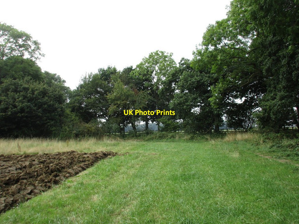 Photo 6"x4" Link between Colley Holts and Osgodby Coppice Bitchfield c2016