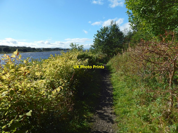 Photo 6"x4" Path by the River Clyde at Old Kilpatrick Erskine c2016