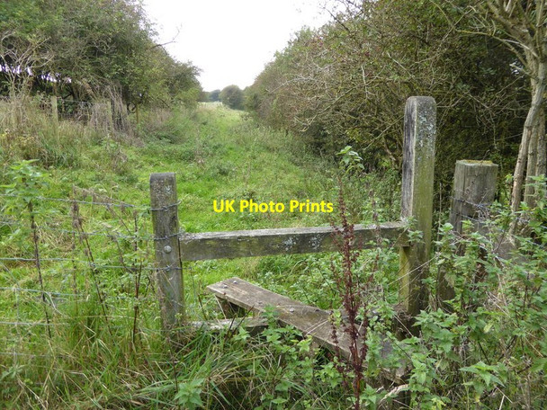 Photo 6"x4" Public footpath goes west from stile Saddlescombe c2016
