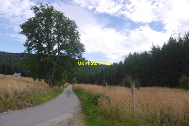 Photo 6"x4" Road from Glenbuchat Kirkton of Glenbuchat c2016