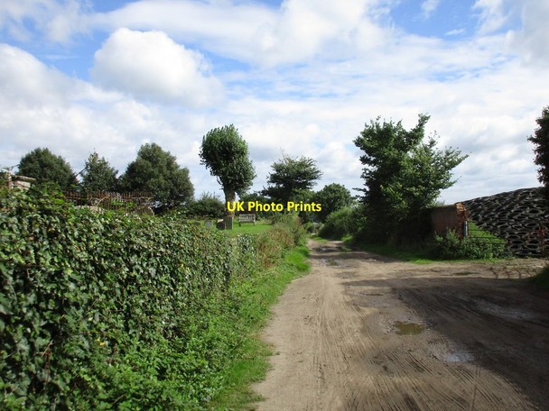 Photo 6"x4" The lane beyond Awre church Awre c2016