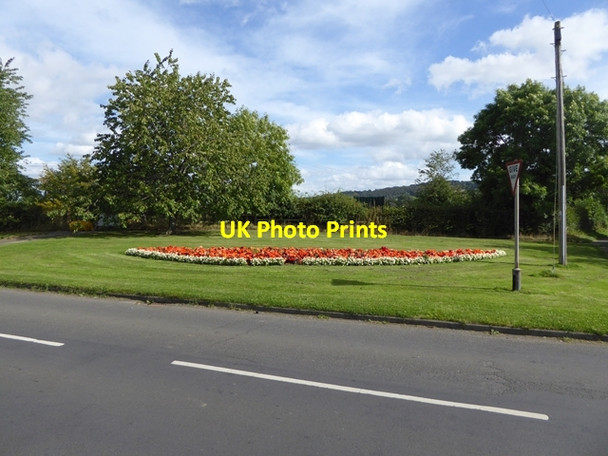 Photo 6"x4" Floral display at the south end of Eastwoods Road Prudhoe c2016