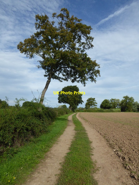 Photo 6"x4" The Severn Way near Sheepcote Farm Severn Stoke c2016