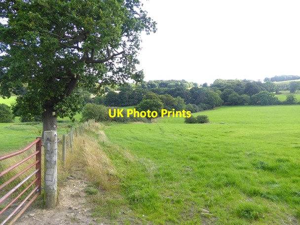 Photo 6"x4" Field near Bradley Fell Farm Coalburns c2016