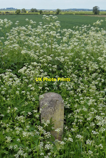 Photo 6"x4" Chesterfield Canal milepost Hayton\/SK7284 c2016