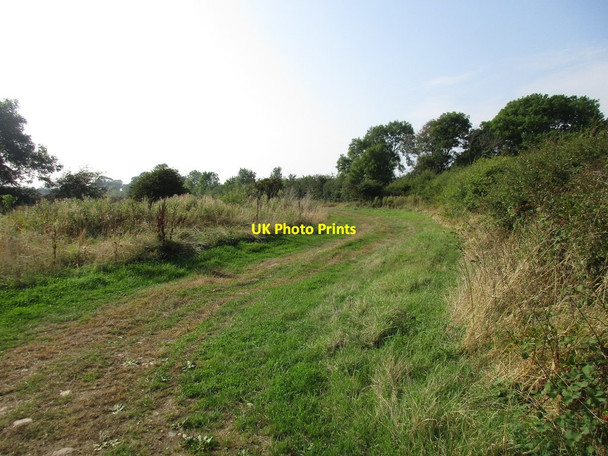 Photo 6"x4" Behind the hedge between Sproxton and Stonesby Stonesby c2016