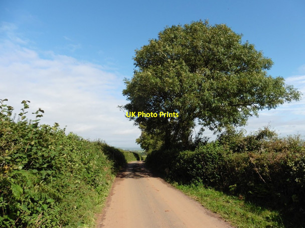 Photo 6"x4" Minor road on Rode Moor Trinity\/SS9905 c2016